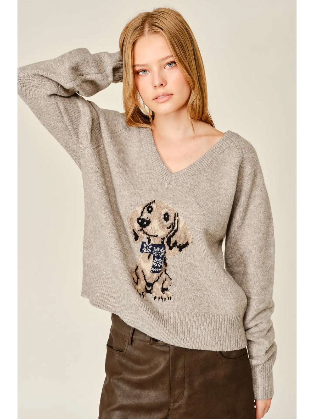 Dog Graphic V-Neck Sweater