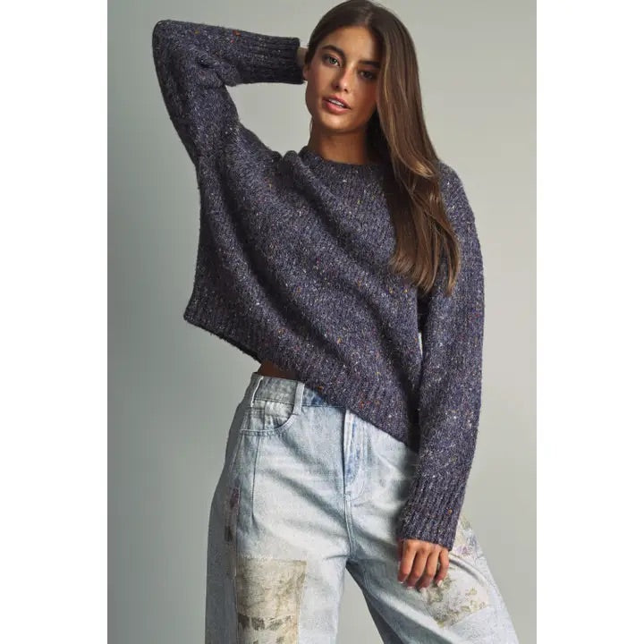 Jinny Multicolor Flecked Crewneck Sweater