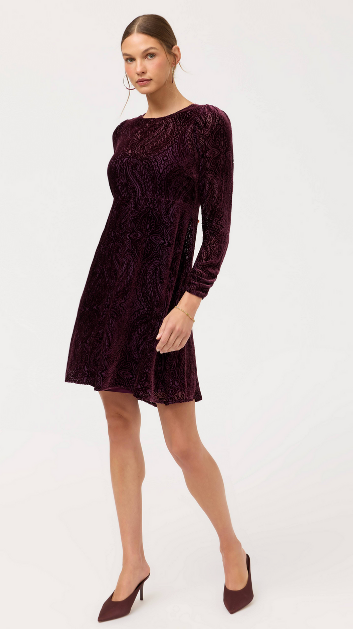 Poppy Paisley Donovan Dress