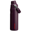 Plum Clean Slate Iceflow Bottle W Fast Flow Lid | 24 oz