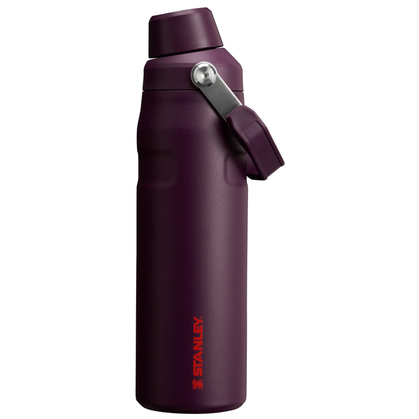Plum Clean Slate Iceflow Bottle W Fast Flow Lid | 24 oz