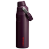 Plum Clean Slate Iceflow Bottle W Fast Flow Lid | 24 oz