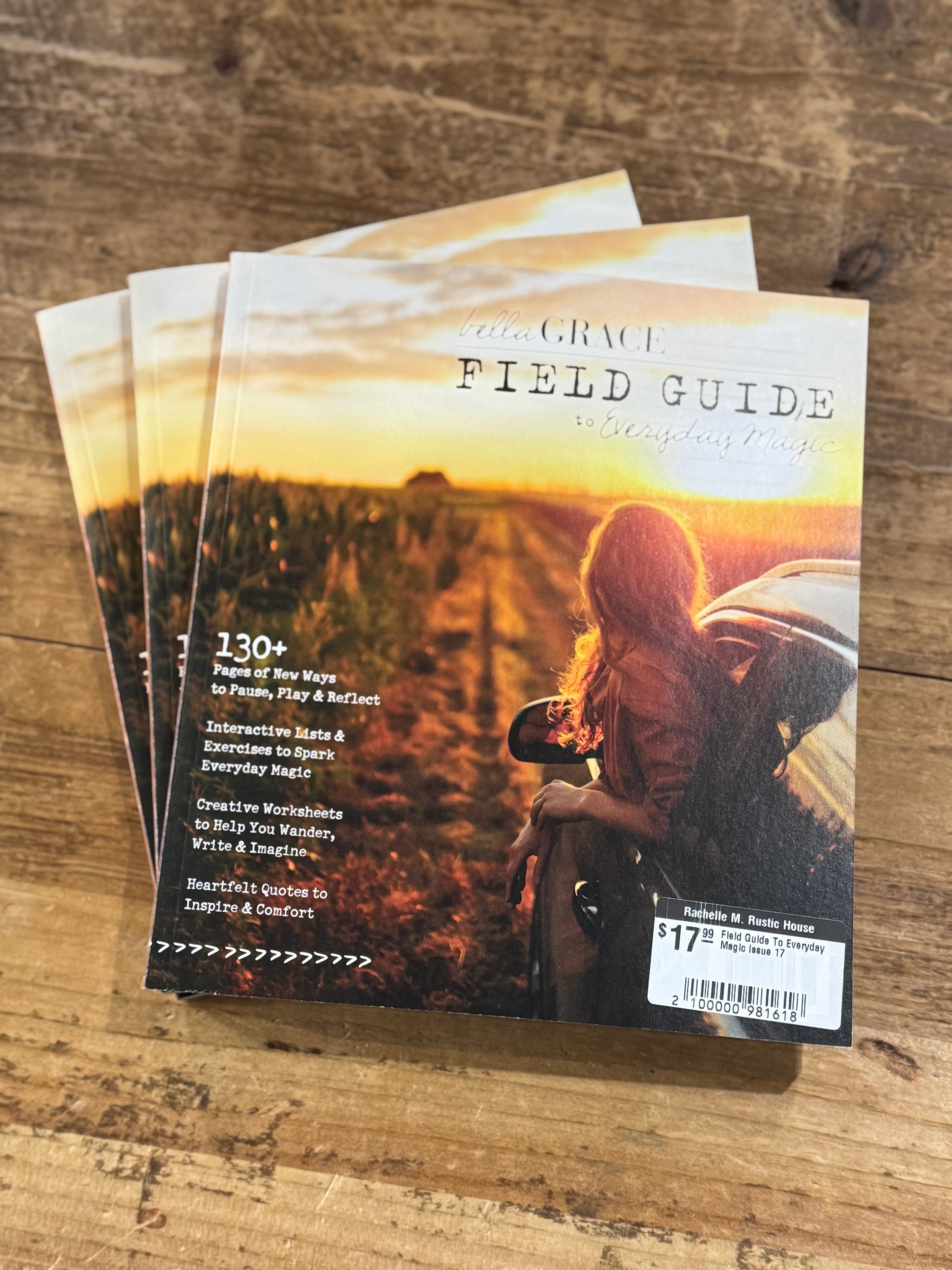 Field Guide To Everyday Magic Issue 17