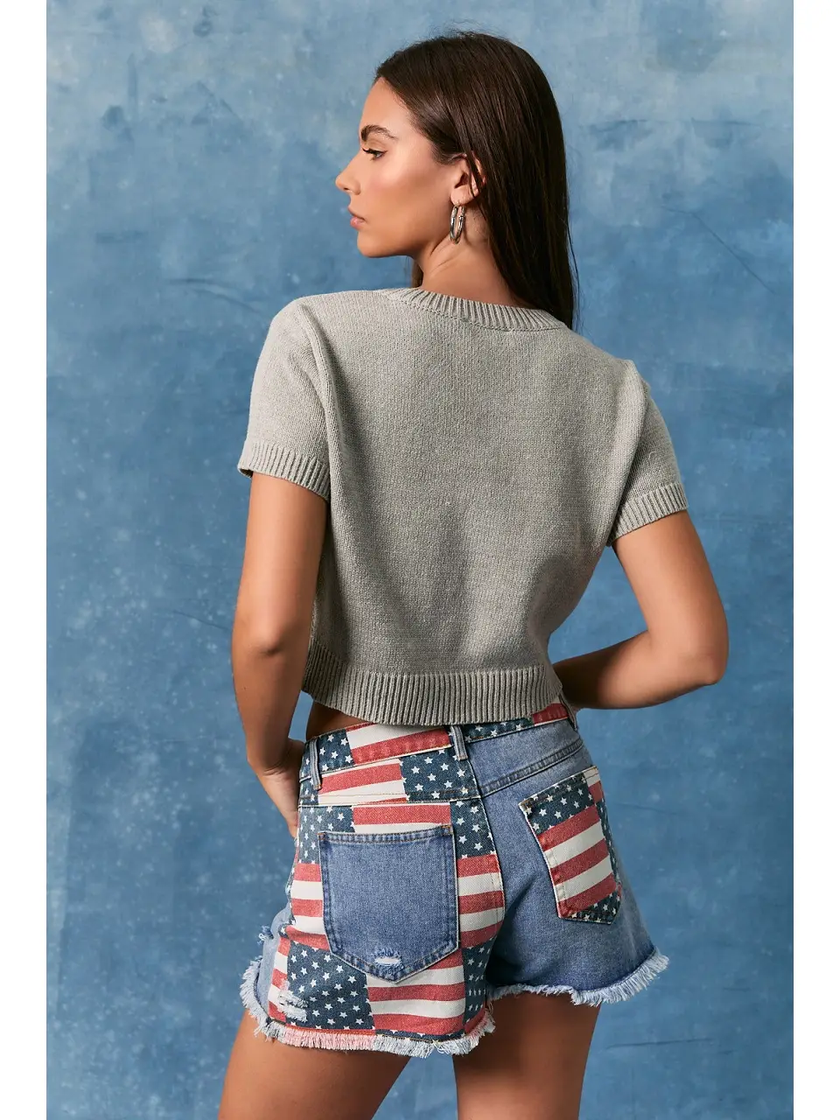 Dog W Flag Graphic SS Sweater Top