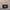 Black Lilly Clutch