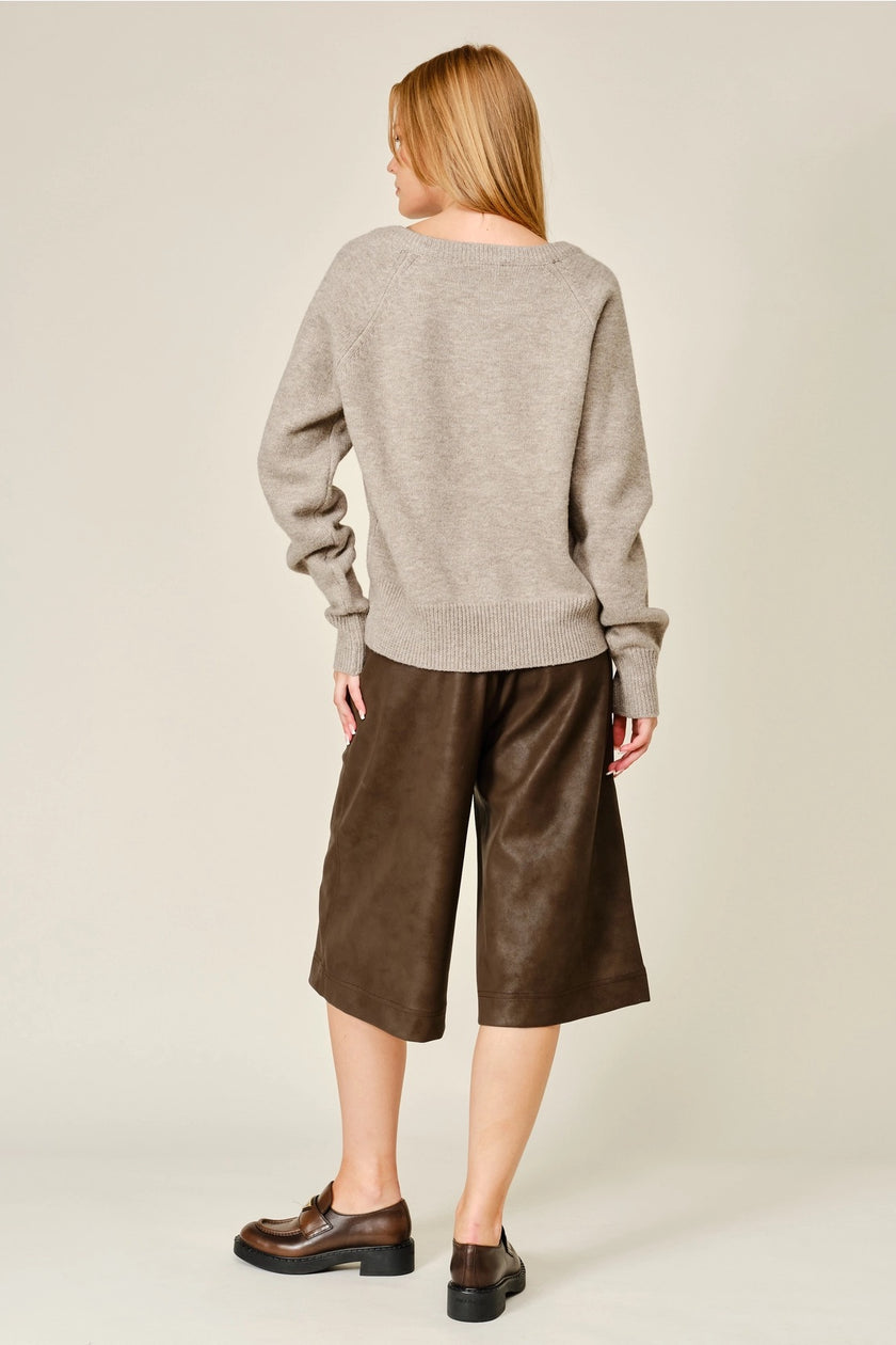 Dog Graphic V-Neck Sweater