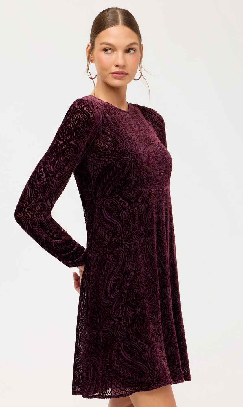 Poppy Paisley Donovan Dress close up