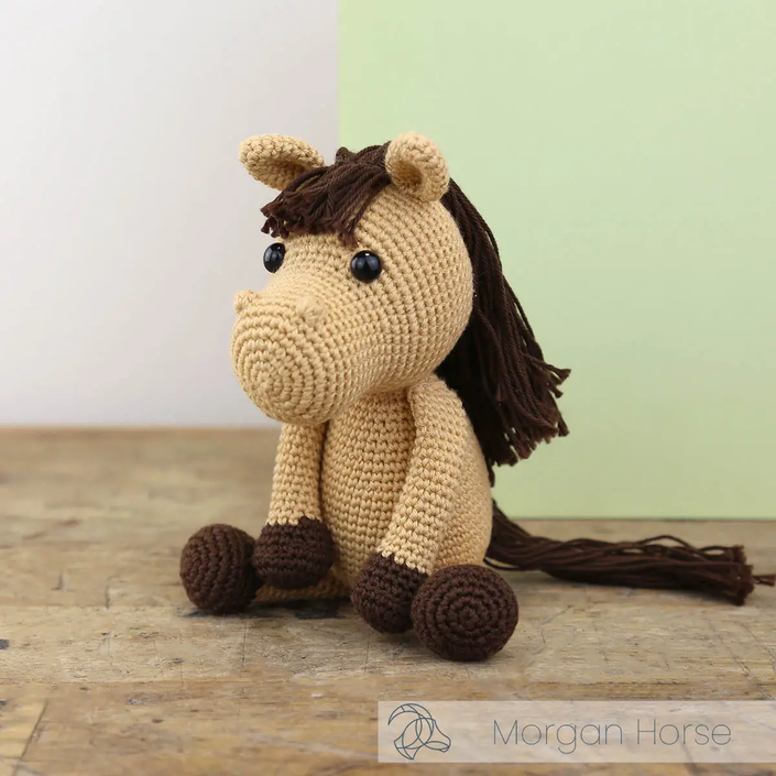 Morgan Horse