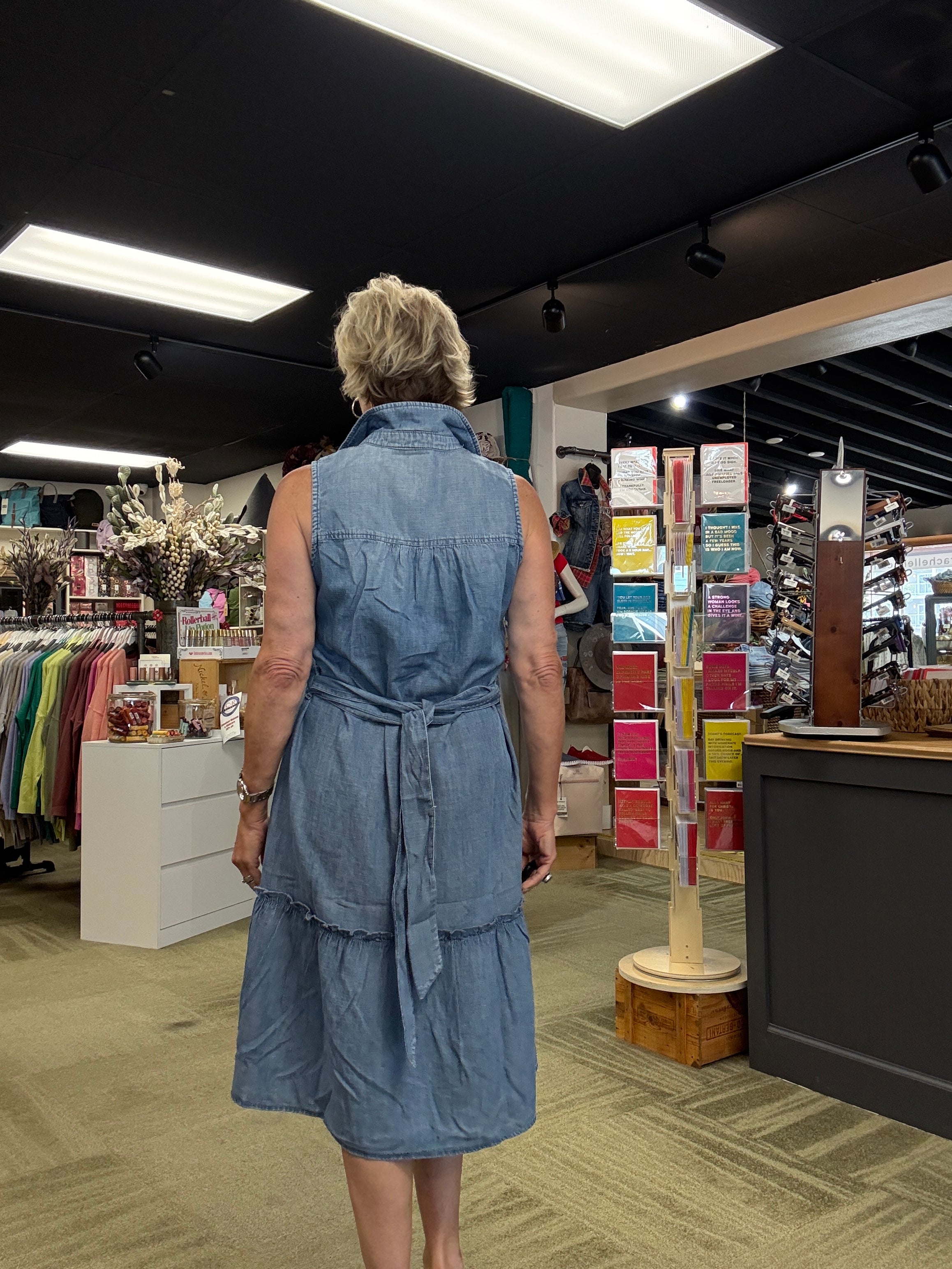 Allie Denim Tie Dress vintage wash back