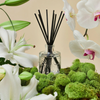 MOKARA | Reed Diffuser