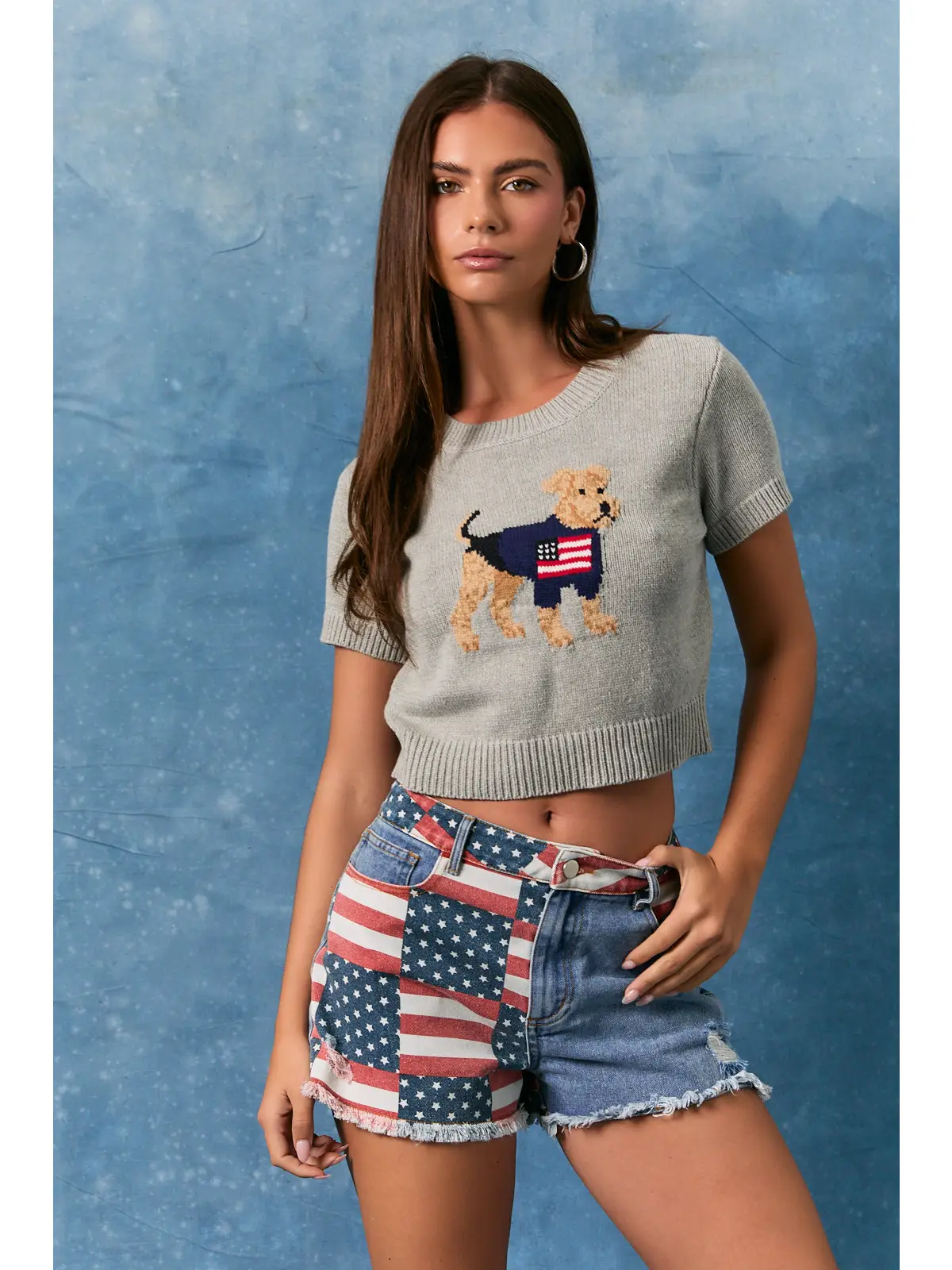 Dog W Flag Graphic SS Sweater Top