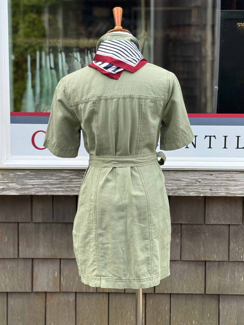 ALMA SURPLUS DRESS back