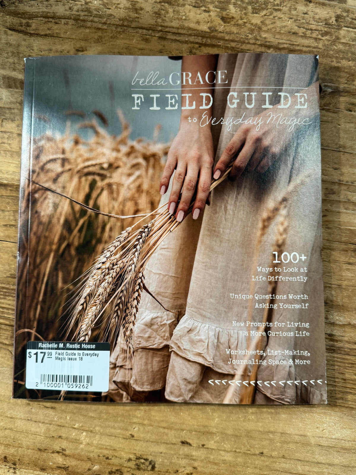 Field Guide to Everyday Magic Issue 18