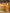 ILSE JACOBSEN Tulip139 | Seasonal Colors | 839 Mango Sorbet