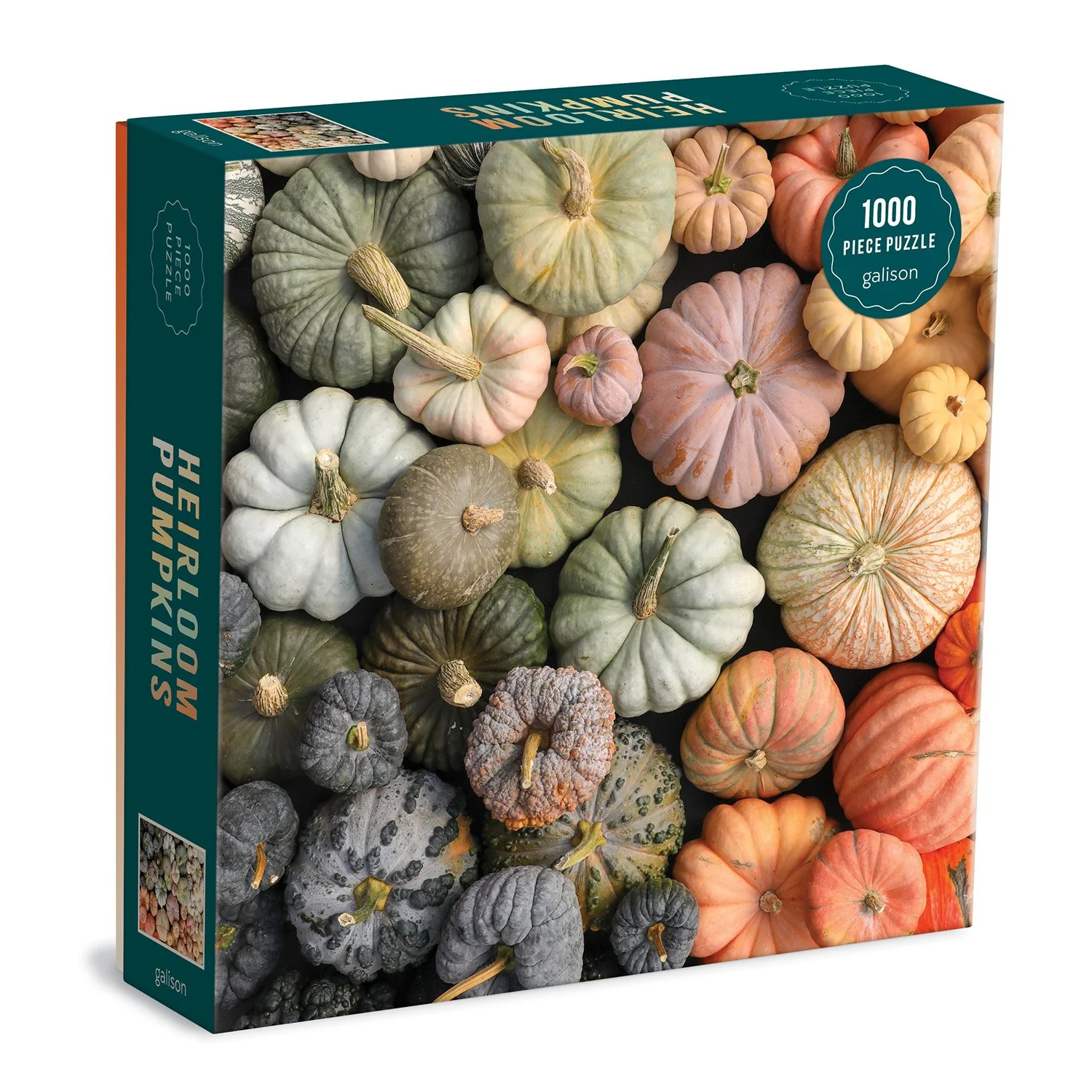 Heirloom Pumpkins 1000 Piece Puzzle