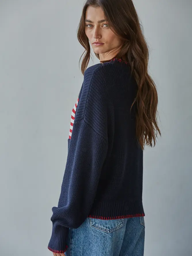 Knit Sweater Crew American Flag Pullover navy side/back