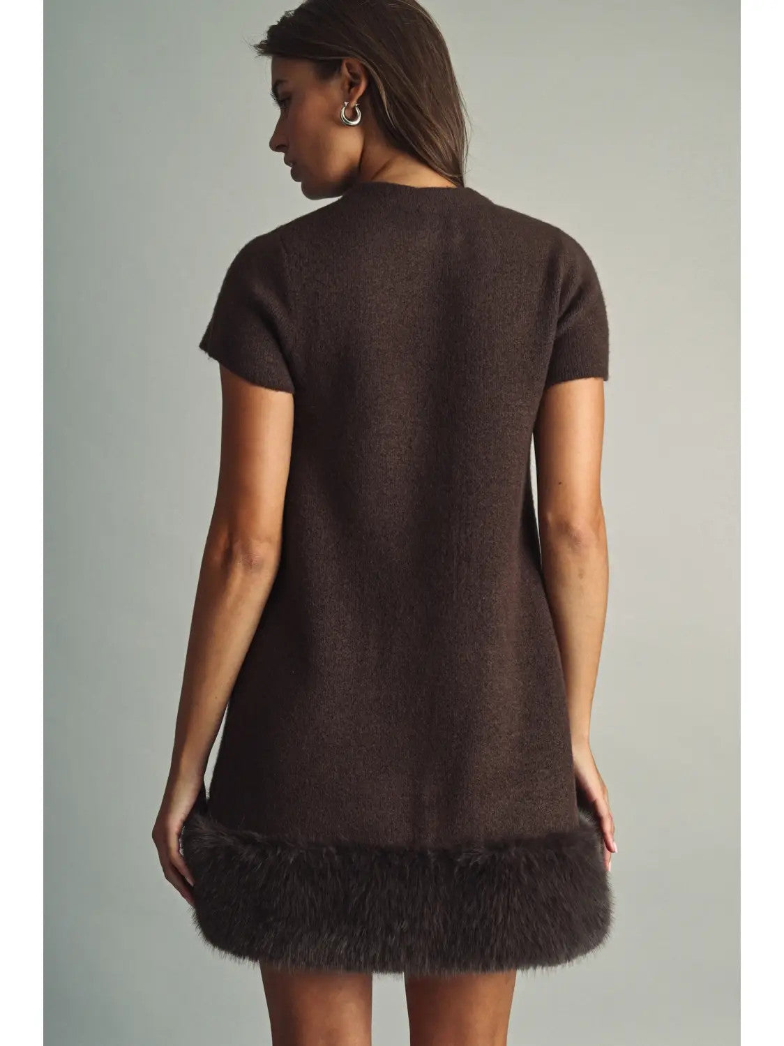 Cozy Faux Fur Mini Dress, brown-back