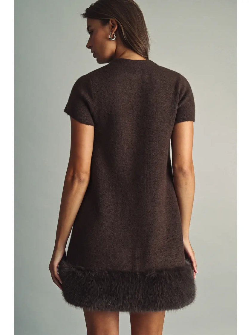 Cozy Faux Fur Mini Dress, brown-back