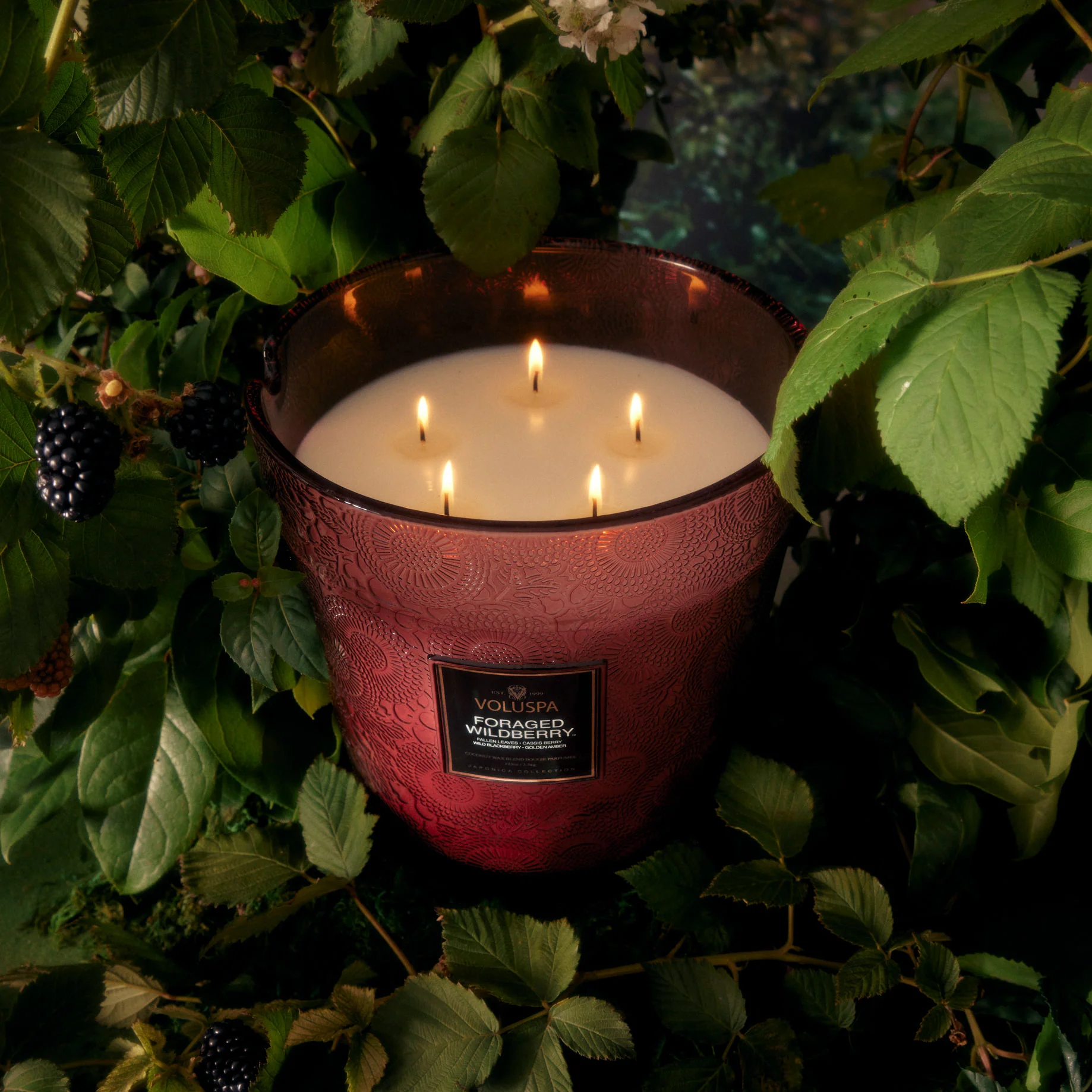 FORAGED WILDBERRY | 5 Wick Hearth Candle