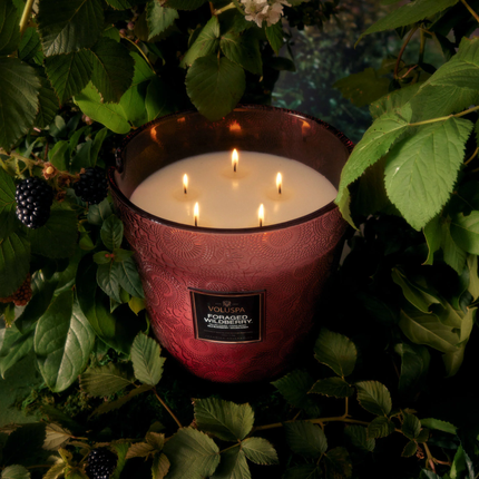 FORAGED WILDBERRY | 5 Wick Hearth Candle