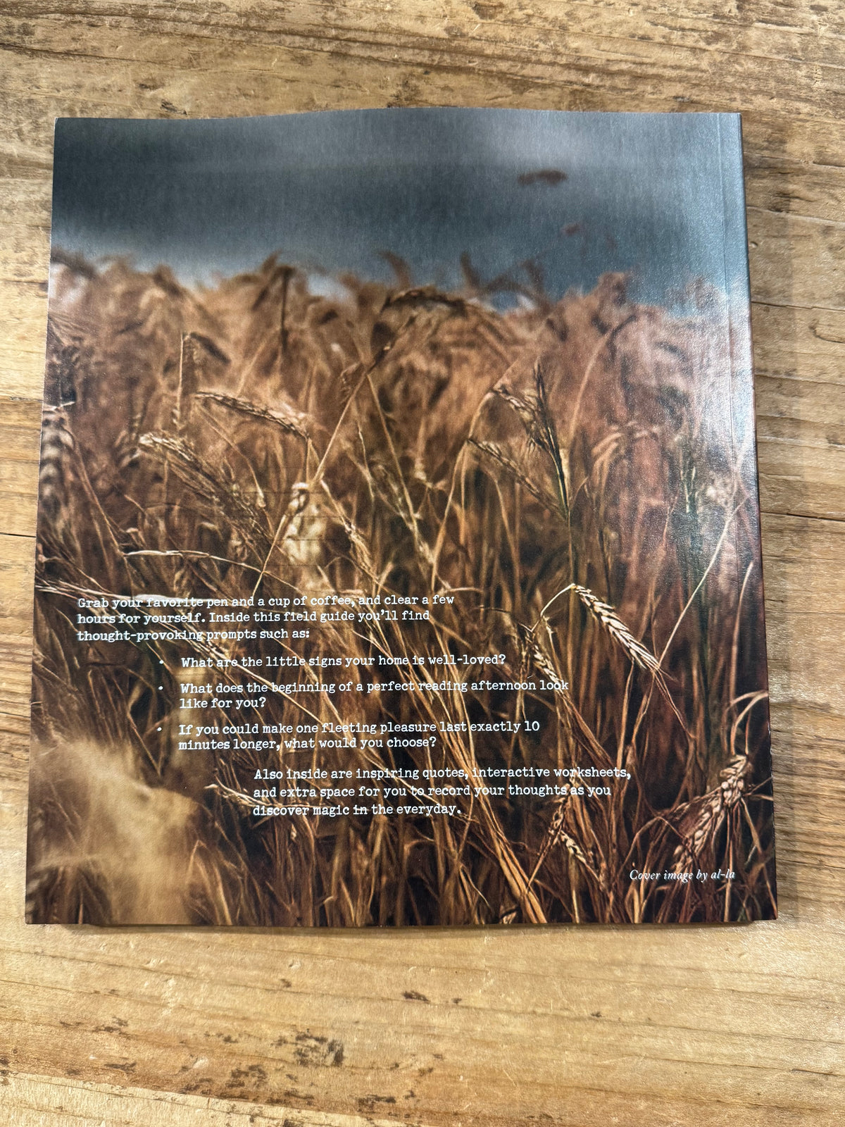 Field Guide to Everyday Magic Issue 18
