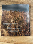 Field Guide to Everyday Magic Issue 18