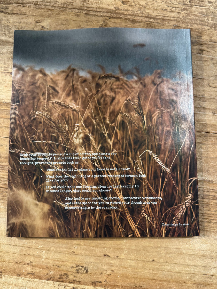 Field Guide to Everyday Magic Issue 18