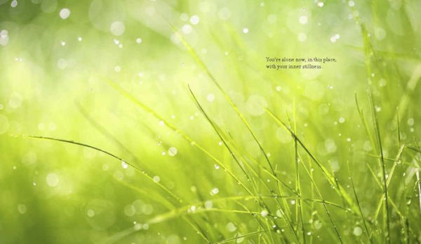 F*ck That: An Honest Meditation page 4