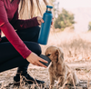 Stainless Water Bottle w/ Bowl - Pacific Blue pup