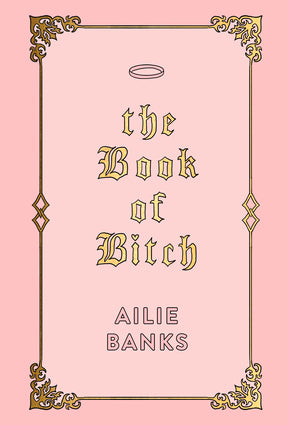 The Book Of Bitch cover