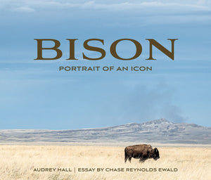 Bison: Portrait of an Icon cover