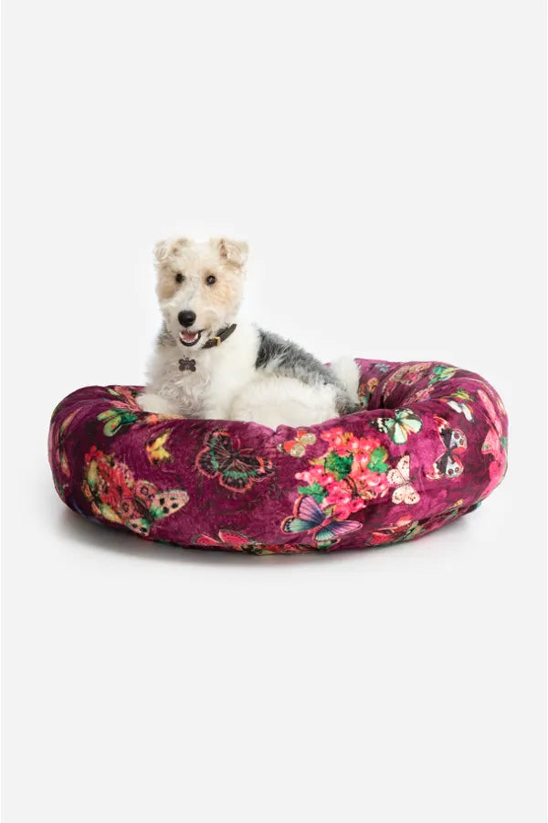 Joules dog bed clearance large