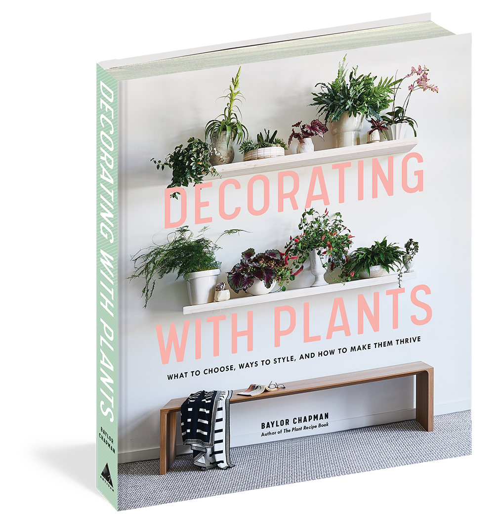 Decorating with Plants side